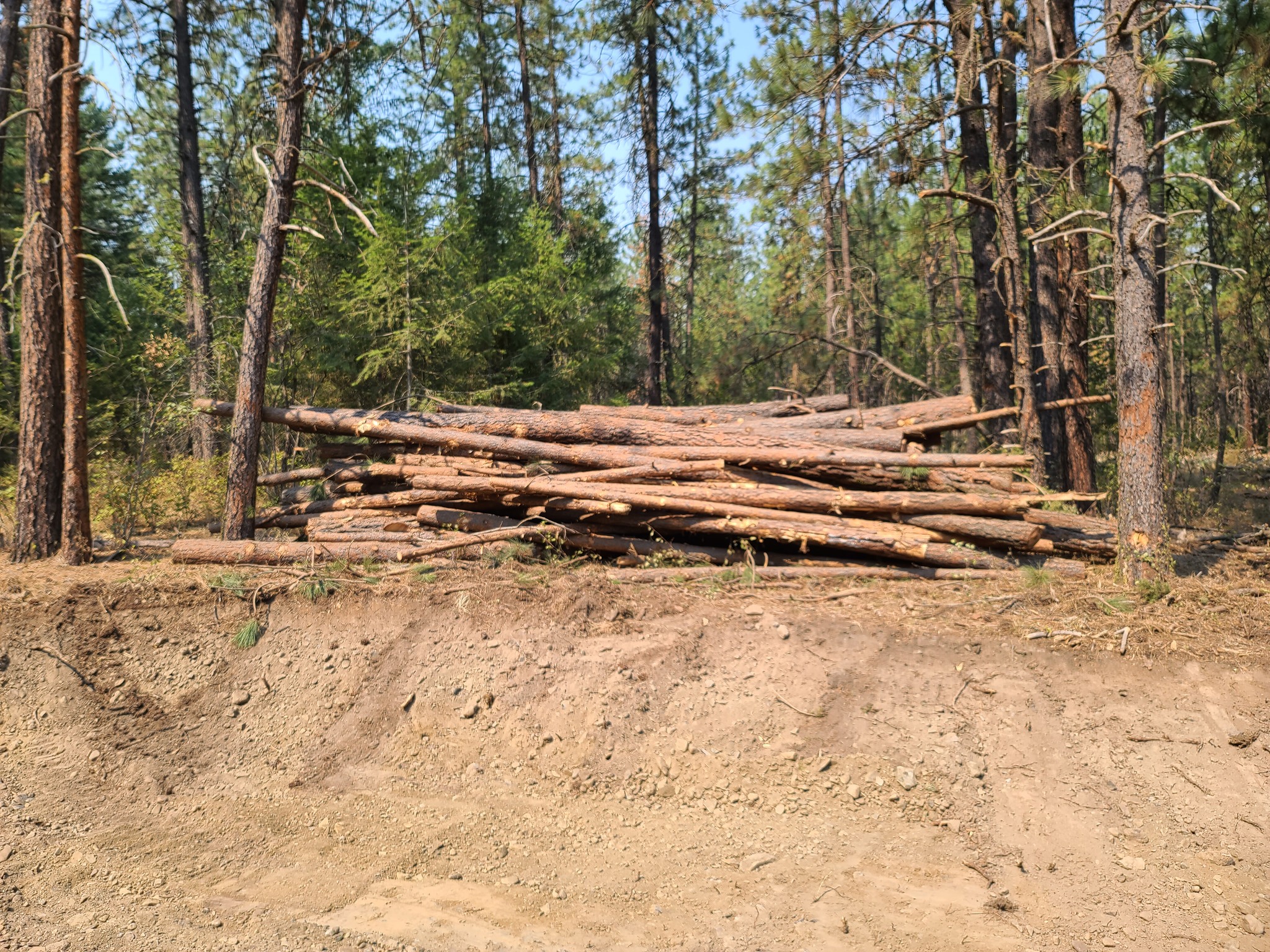 Efficient and Reliable Land Clearing Solutions